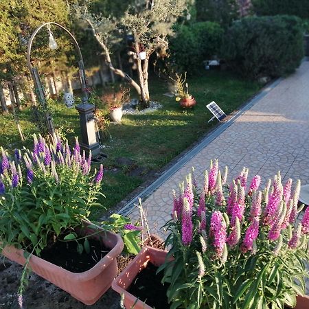 B&B Villa Milena Ариано-Ирпино Экстерьер фото