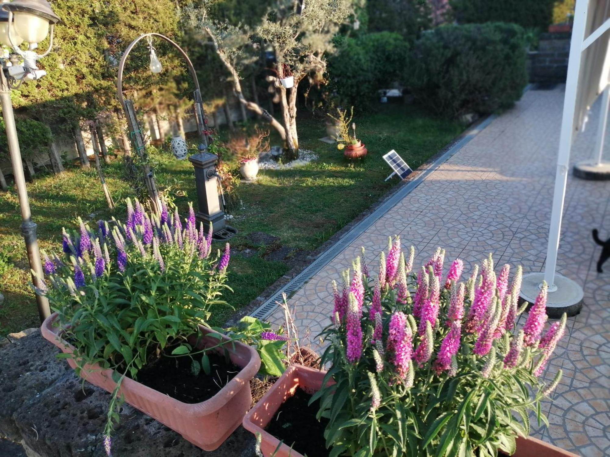 B&B Villa Milena Ариано-Ирпино Экстерьер фото
