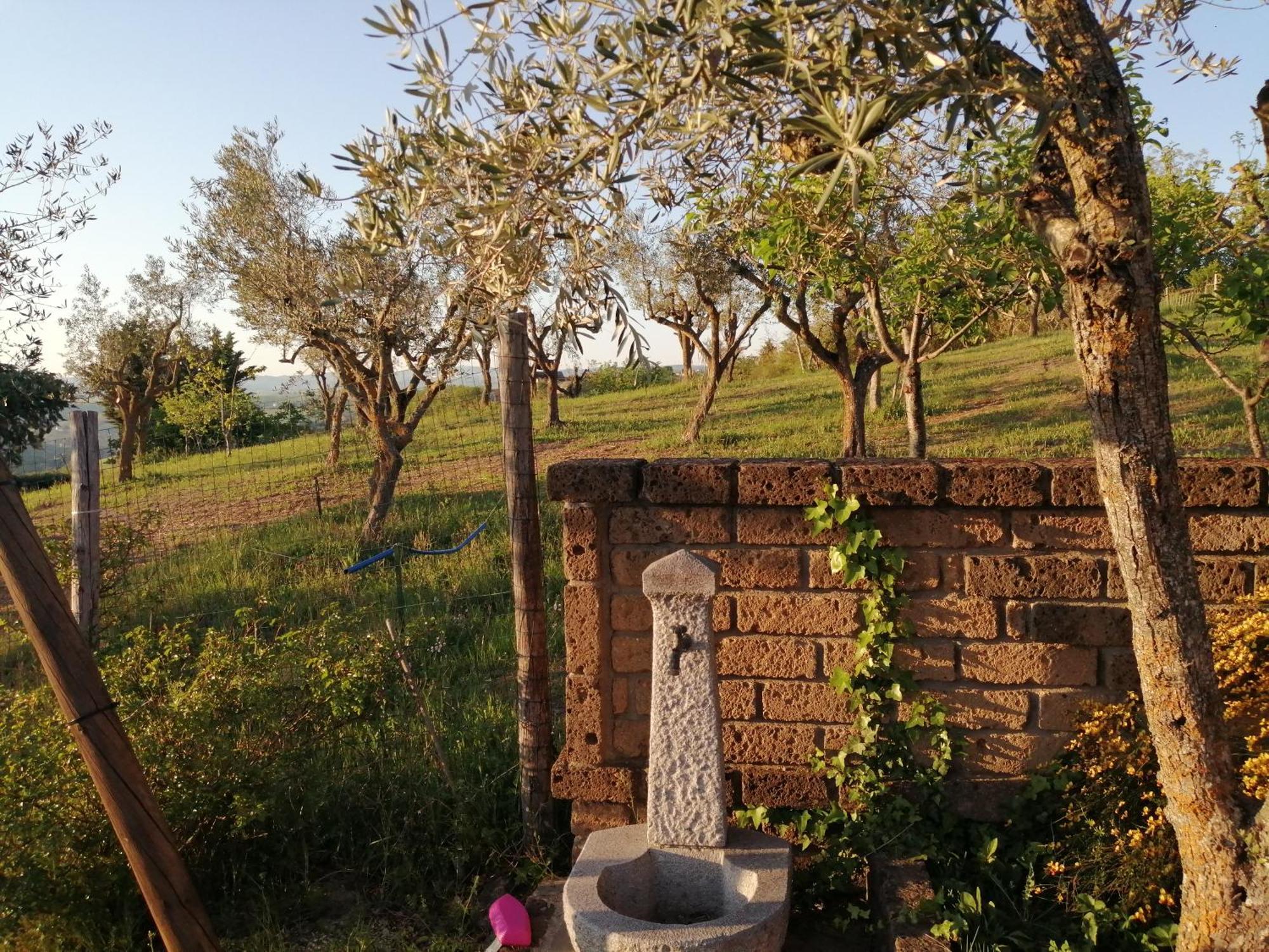 B&B Villa Milena Ариано-Ирпино Экстерьер фото