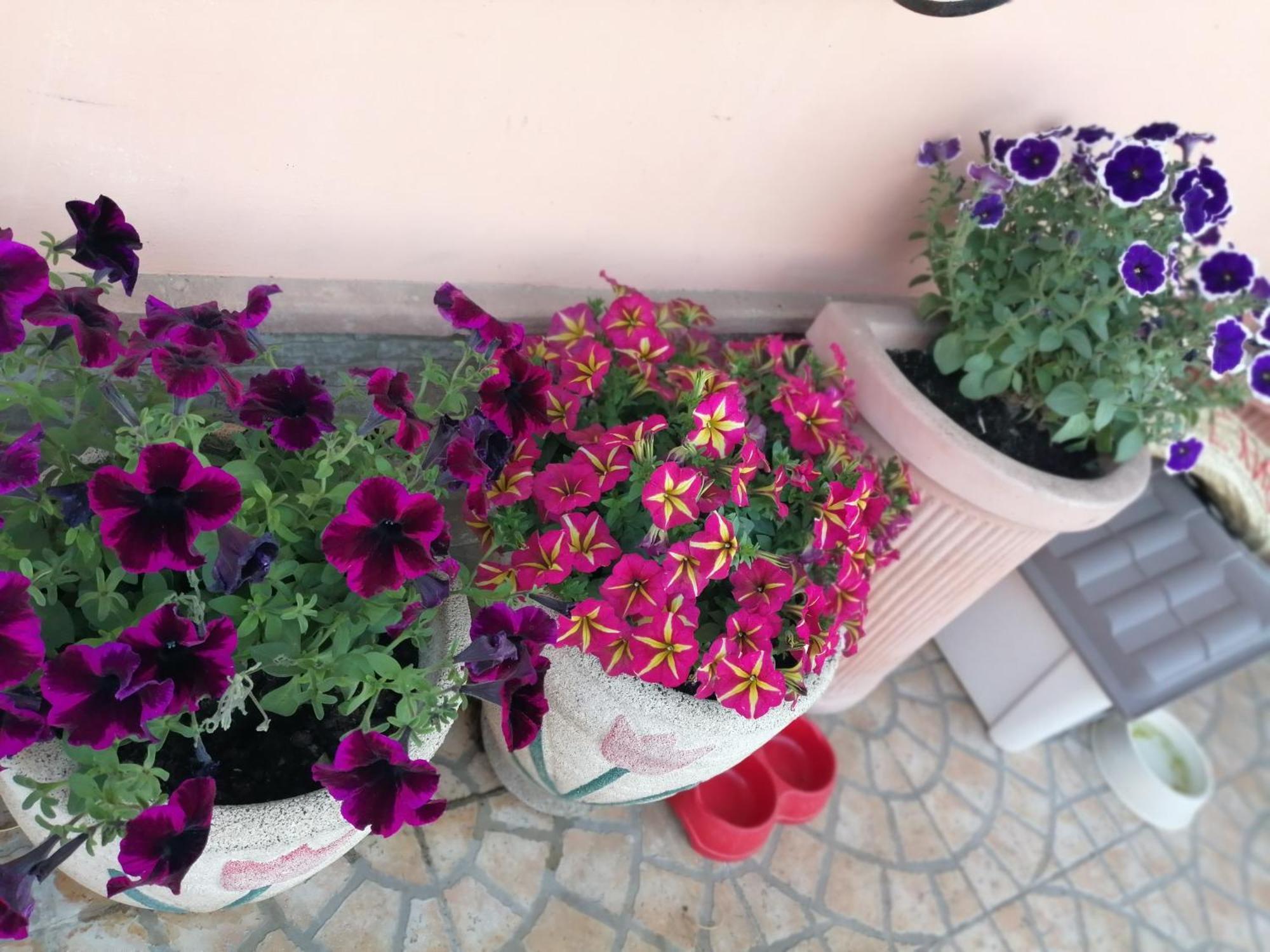 B&B Villa Milena Ариано-Ирпино Экстерьер фото
